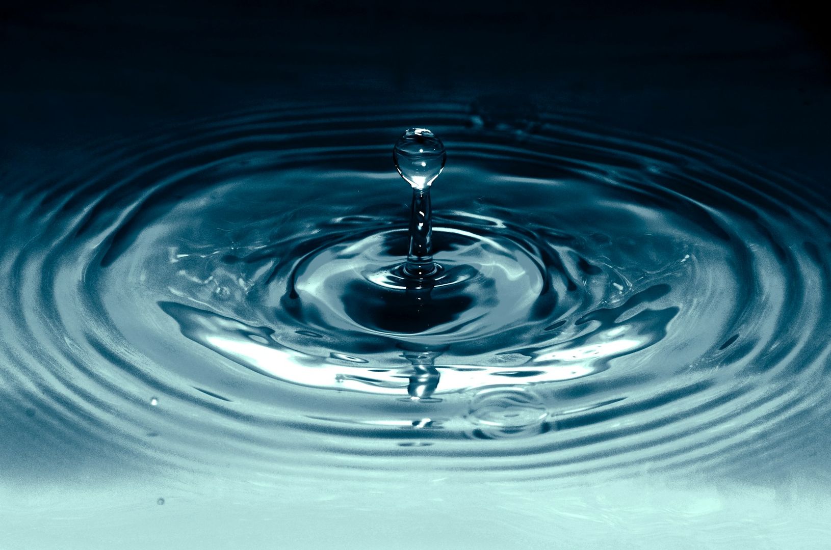 Ripple’s Partnership With BDACS Pays Off as XRP Support Goes Live at Korean Crypto Custodian