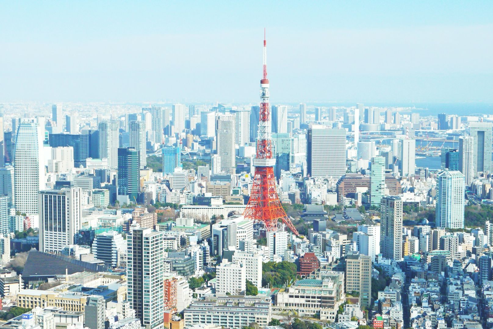 SBI Files for Bitcoin–XRP ETF in Japan, Pushing Dual Crypto Exposure Into Regulated Markets