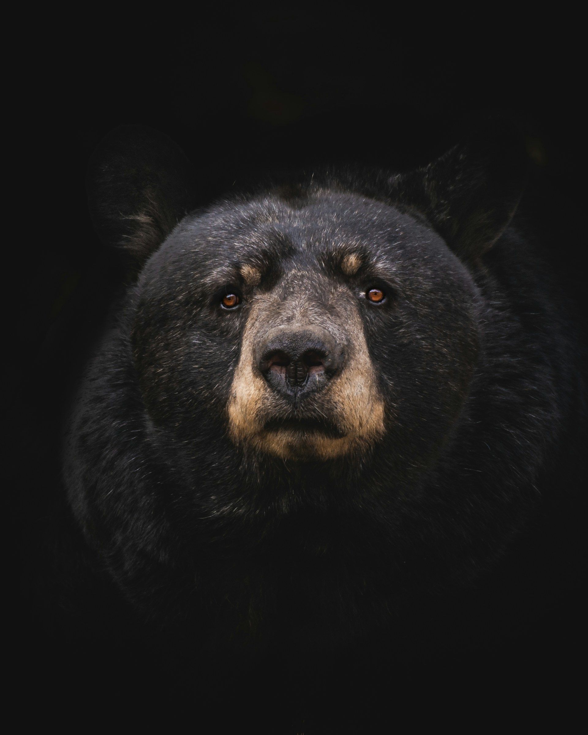 Traders Tilt Bearish on August BTC, ETH Targets as Retail Lags Institutions