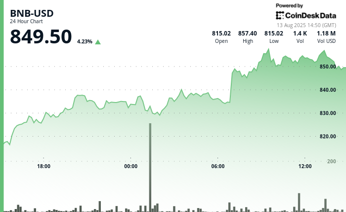 Why is BNB Up Today? Corporate Buyers Help Token Near Record High