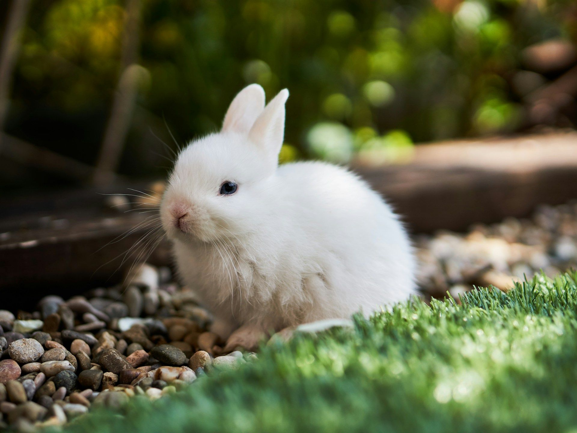 Bunni DEX Halts Smart Contracts After Exploit Drains $8.4M Across Chains