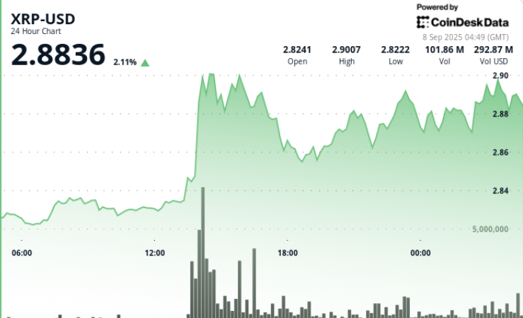 Consolidates Under $3 as Descending Triangle Narrows
