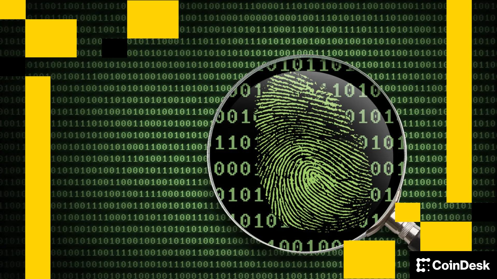 Elliptic Warns of Industrial-Scale Pig Butchering Scams Laundering Through Crypto