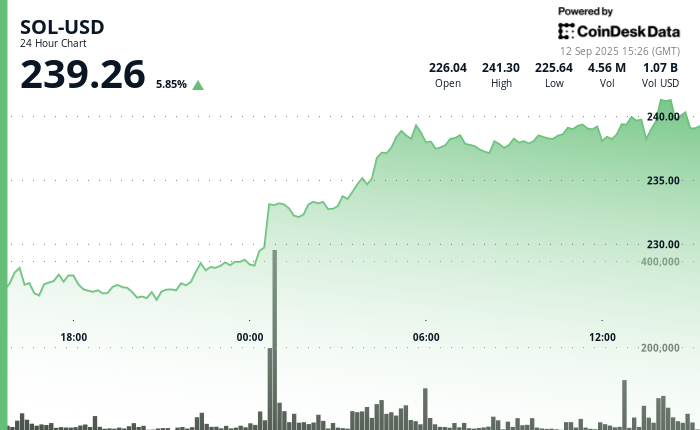 Galaxy Digital CEO Explains Why This Is the 'Season of SOL'