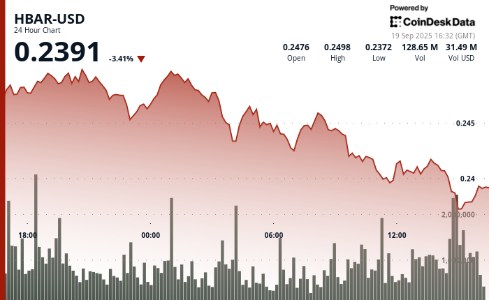 HBAR Slides 3% as Selling Pressure Intensifies, Finds Support at $0.24