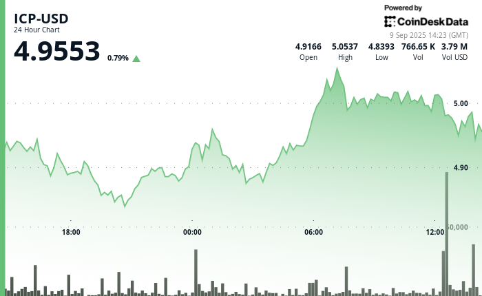 Internet Computer Drops 3% After Rally Stalls at $5.05 Resistance