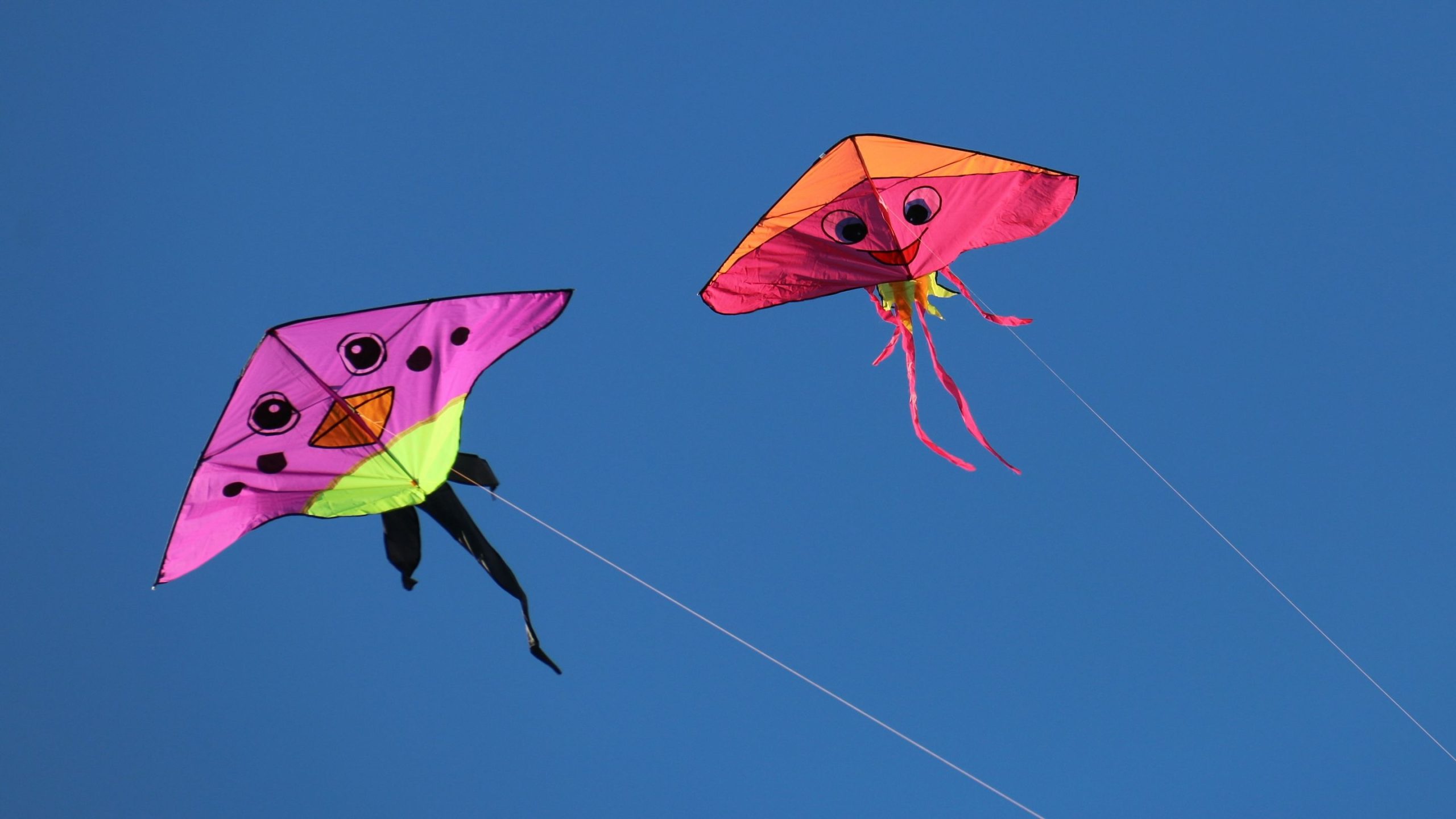 Kite Raises $18M to Bridge Stablecoin Payments and Autonomous Agents