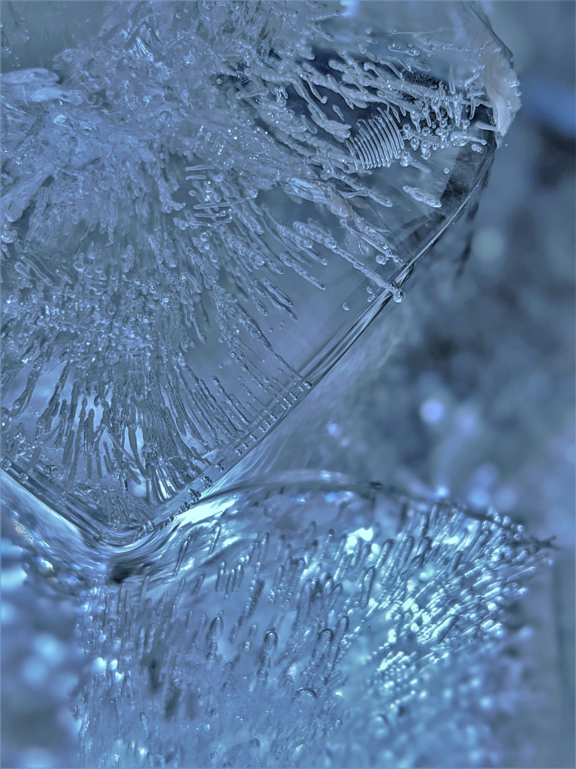 MSTR, NAKA, BMNR Punished as Crypto Treasury Bubble Further Deflates