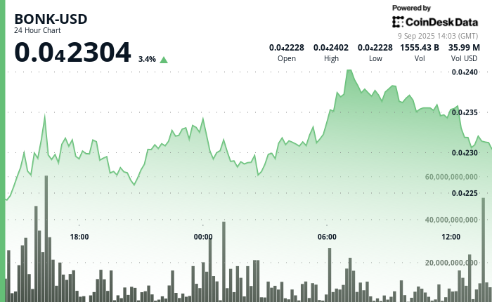 Memecoin Climbs Toward $0.000024 Amid Sector Rotation