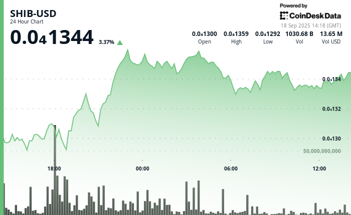 Realized Volatility Tanks as Whale Moves 7T, SHIB Hits Record Low Against Dogecoin (DOGE)