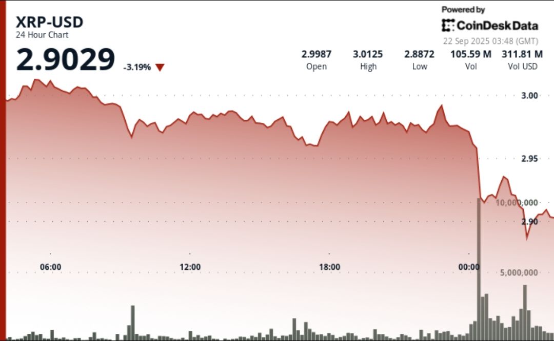 Ripple Drops 3% as BTC Pullback Dampens Sentiment