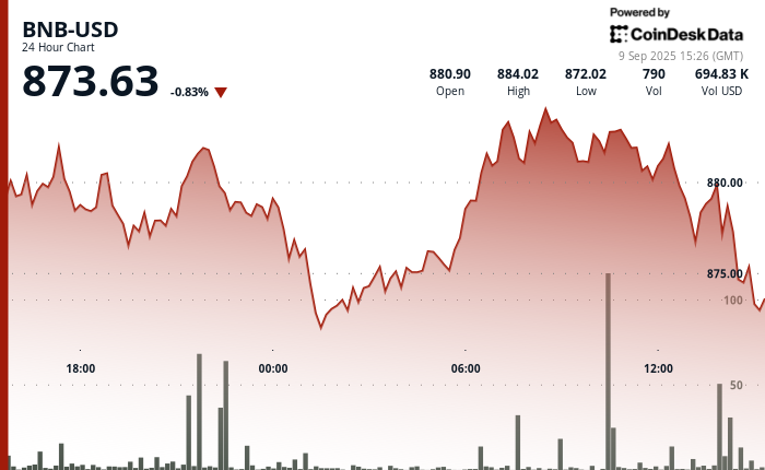 Why is BNB Down Today? Price Rise Cut Short by Market Sell-Off After Israeli Strike in Qatar