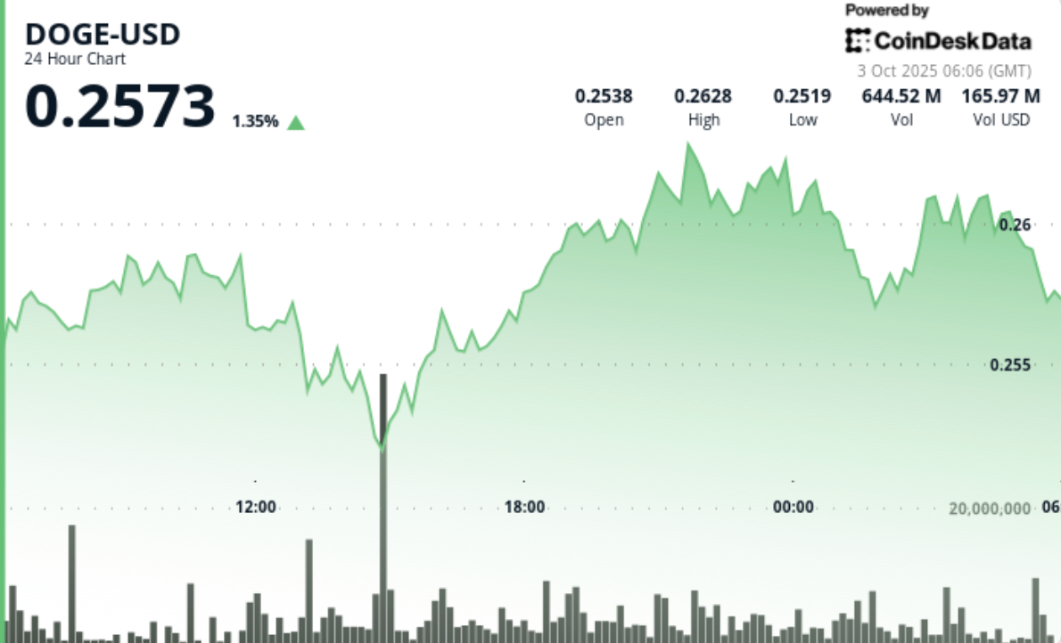 Anchored Above $0.251, Traders Watching $0.264 Break