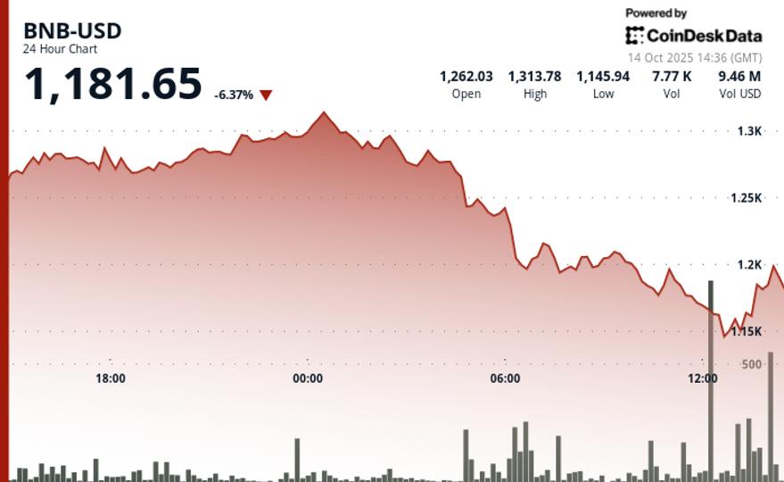 BNB Slides 6.5% After Hitting All-Time High Following $500B Crypto Rout
