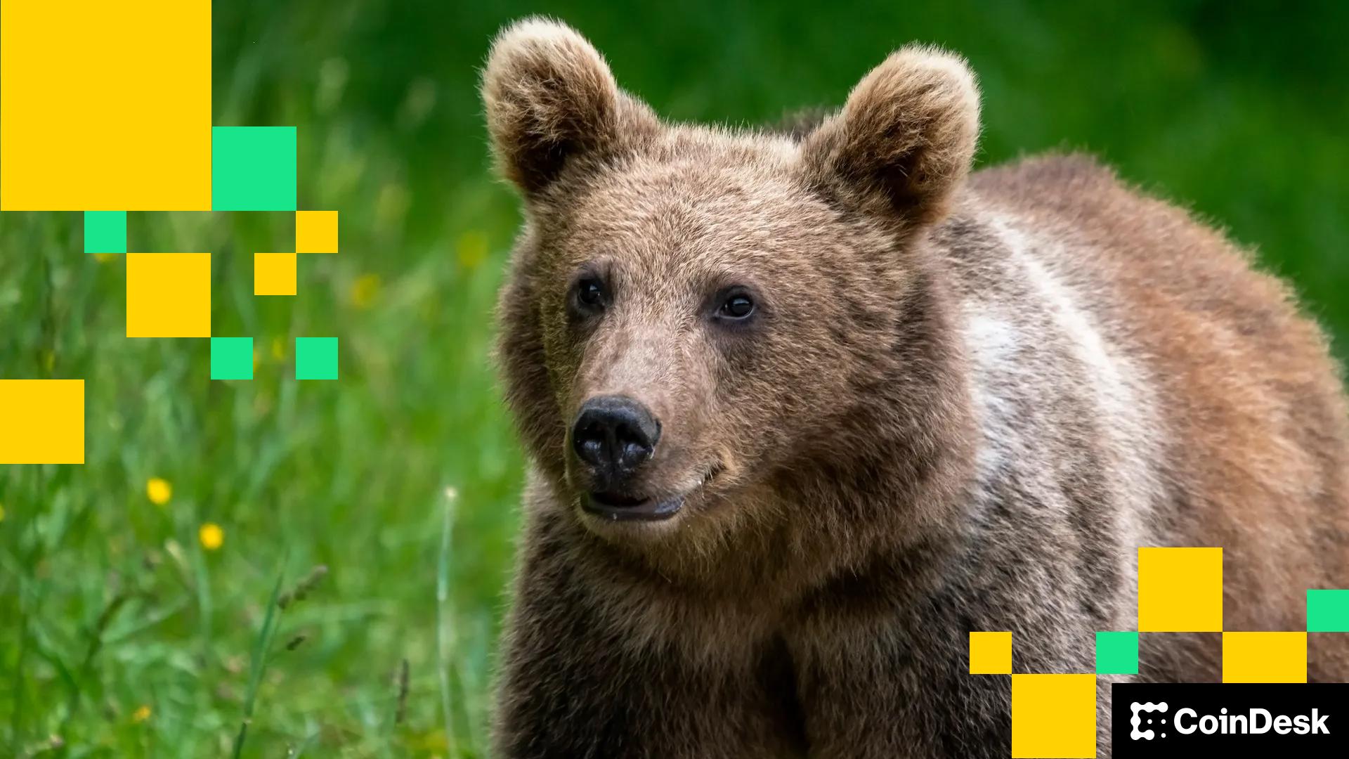 BTC, ETH Prices Slip as Selling Pressure Returns