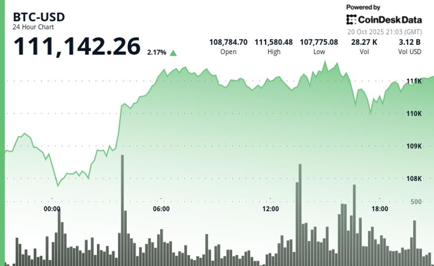 Bitcoin Bounce Stalls as XRP, Zcash Lead Gains; Arca Says Rally Not a Dead-Cat Bounce