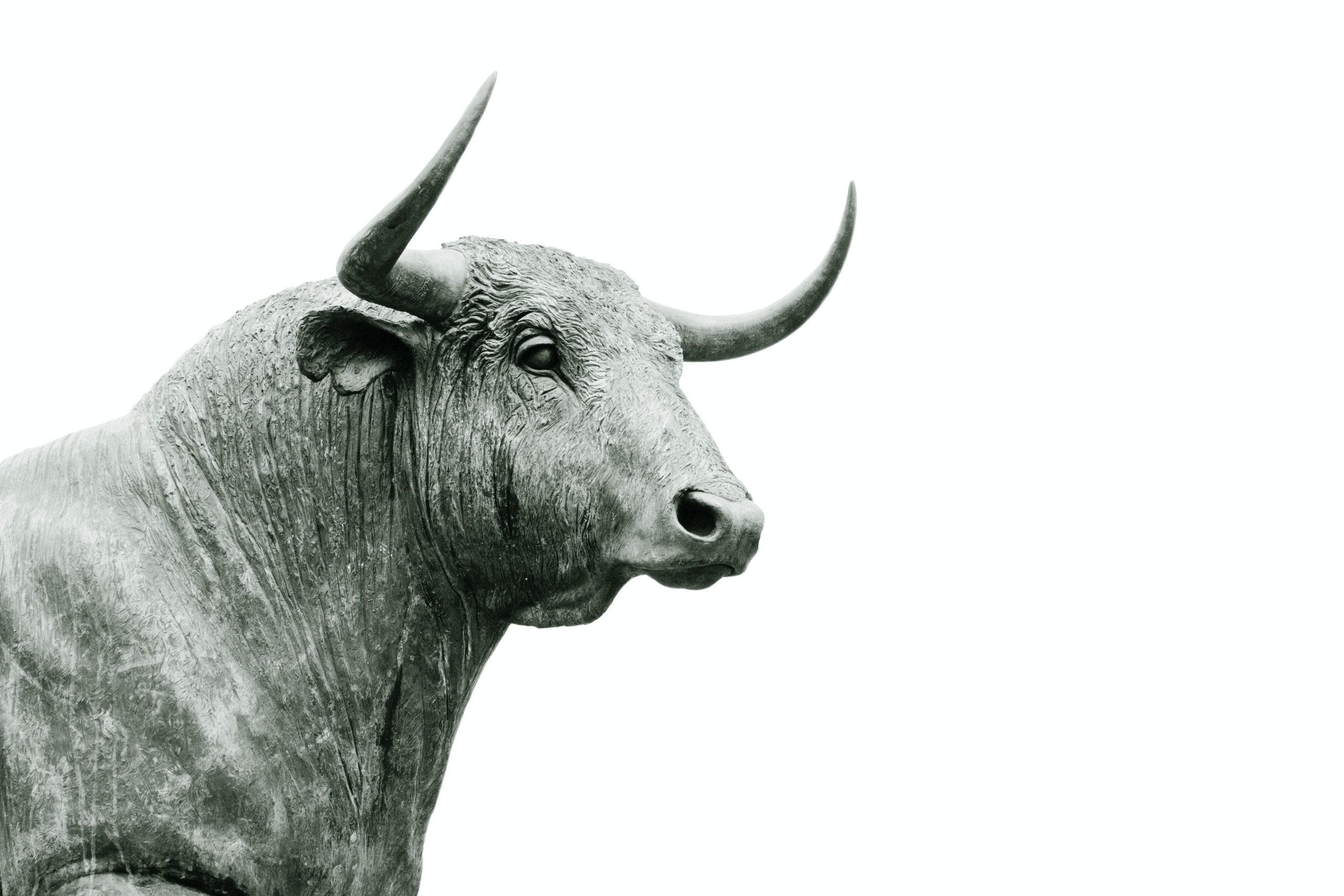 Bitcoin Breaks $119K as Altcoins Surge, Traders Eye Record Highs