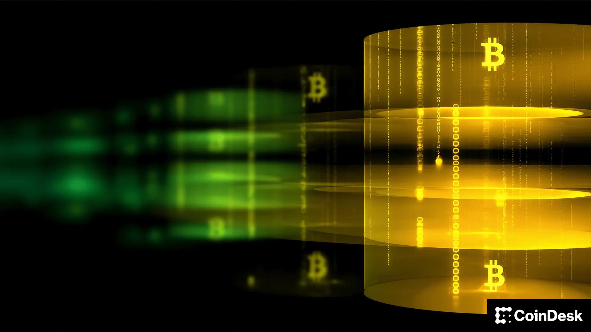 Bitcoin Treasuries Need an Onchain Strategy