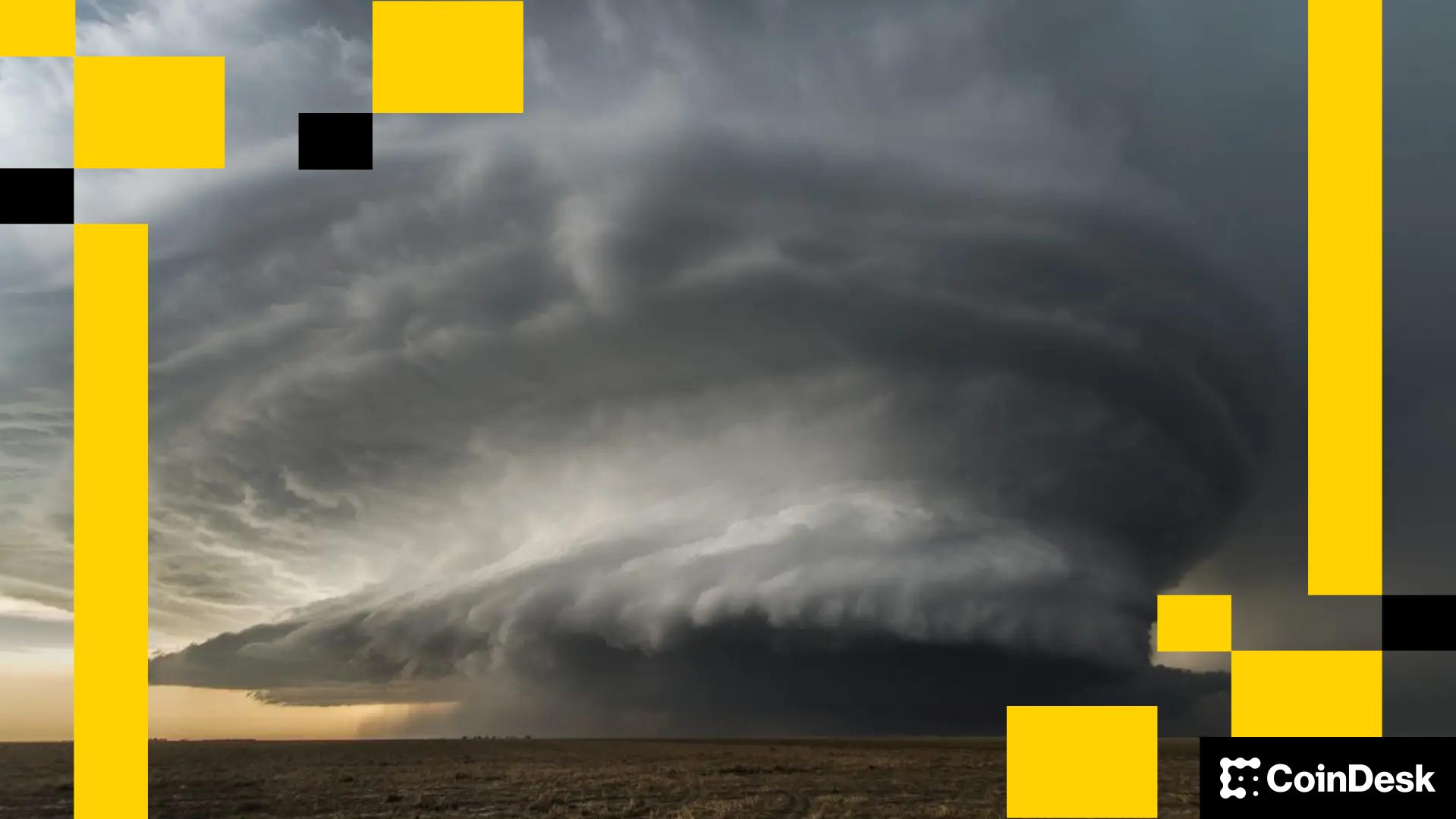 Rally Fueled by 'Perfect Storm,' ETH, DOGE, BNB Surge