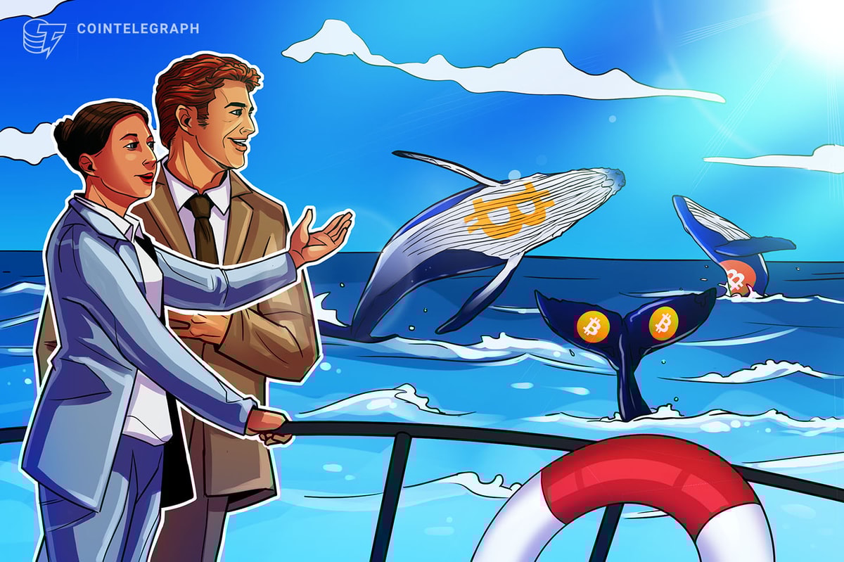Whales Trade Bitcoin Keys for Comfort