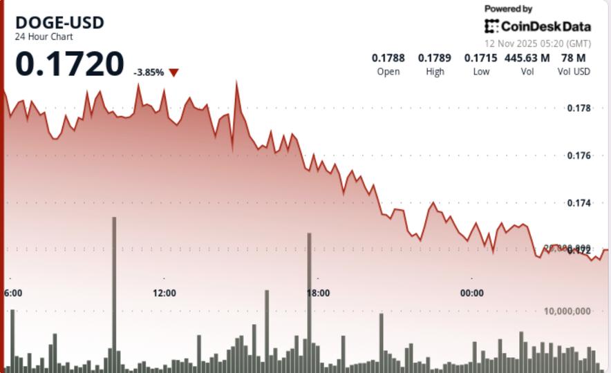 Dogecoin Near Make-or-Break Zone After Fresh Bitcoin Slide